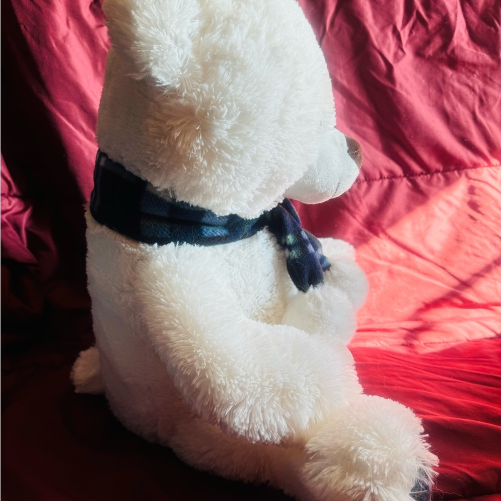 Teddy - Picture 2 of 3